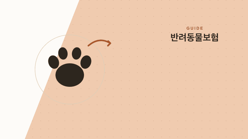 강아지·고양이 병원비, 왜 이렇게 비쌀까 — 반려동물보험 가입 전 체크리스트